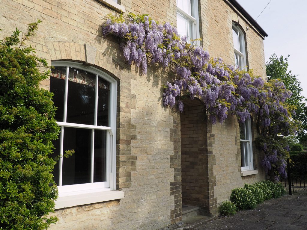 traditional cottage windows