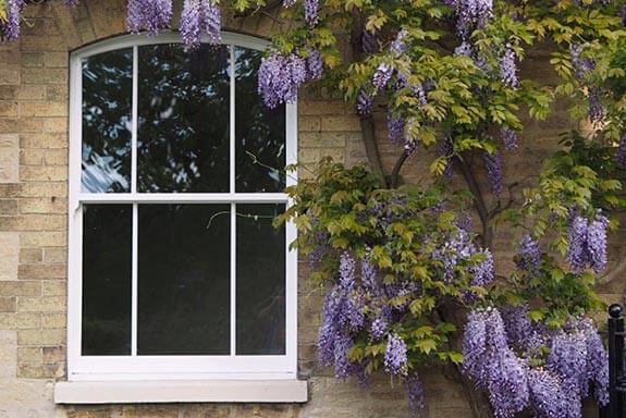 About Roseview Windows