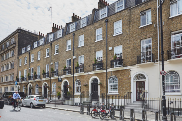 heritage rose in conservation area