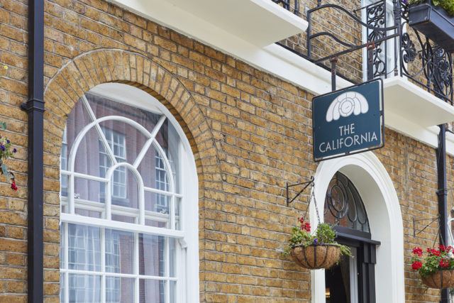 heritage rose in conservation area