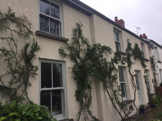 chartwell-green  Roseview Windows, 