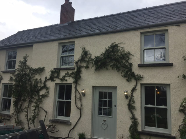 ultimate rose in chartwell green