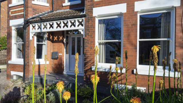 ultimate rose sashes