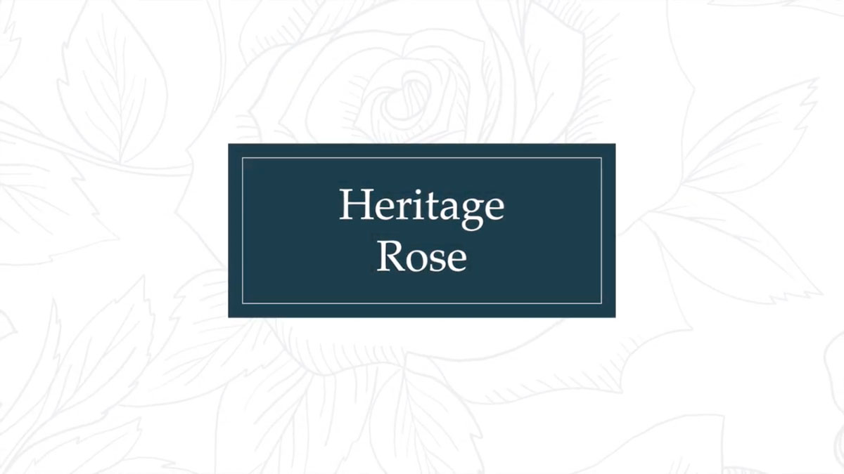 Heritage Sash Windows Video