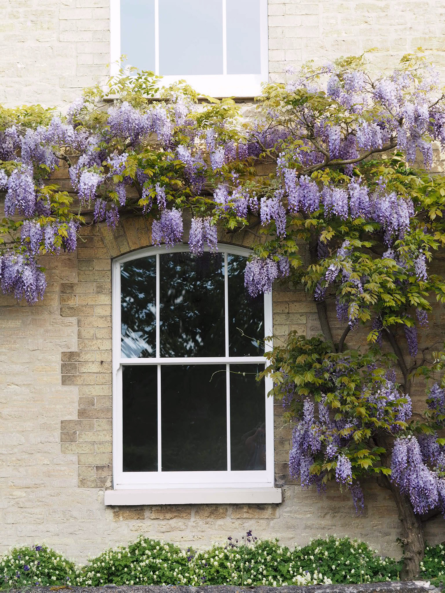 The rose collection Sash Windows Carlton Cottage