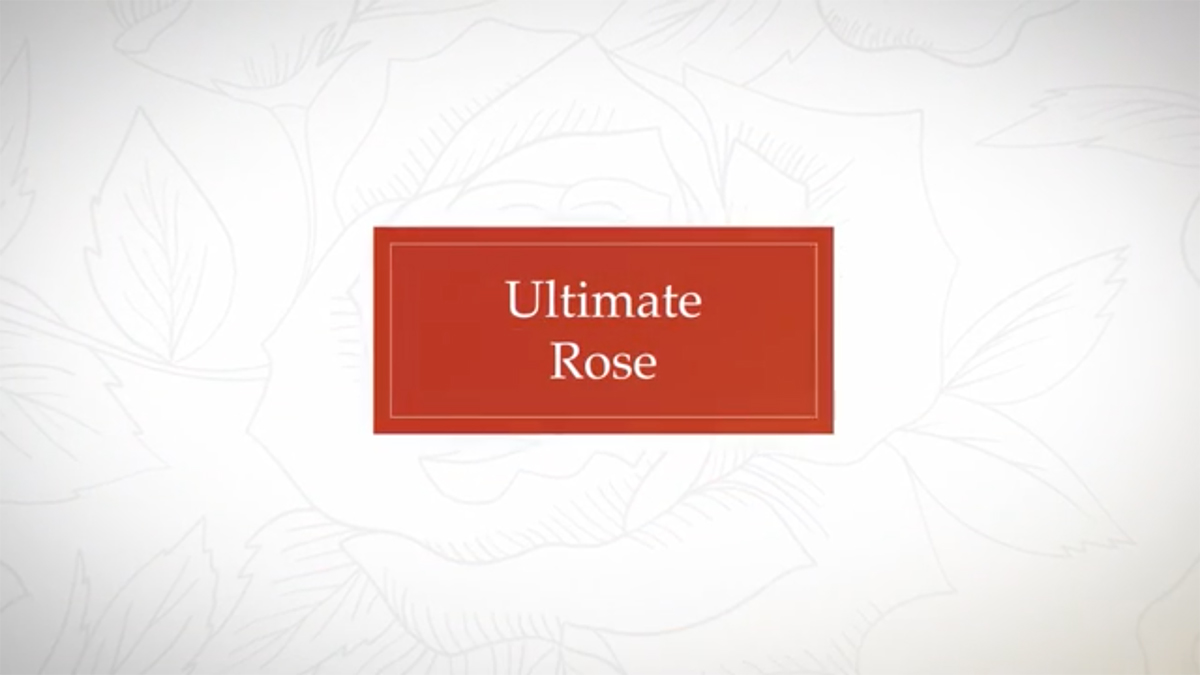 Ultimate Rose Sash Windows