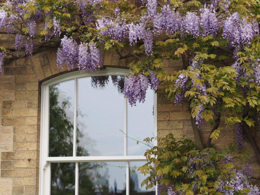 how do sash windows work