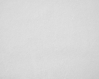 White Wall Texture