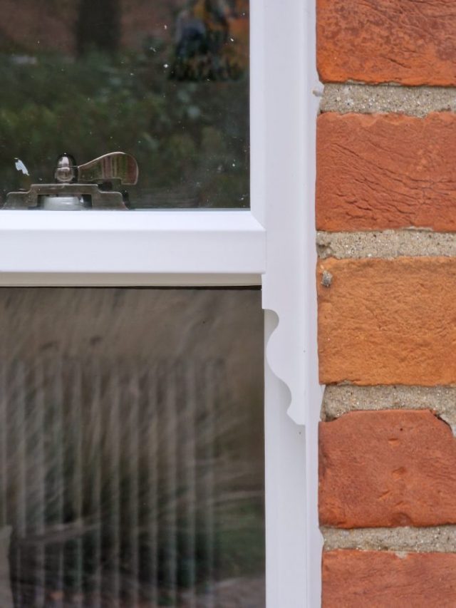 seahorse feature on sash windows
