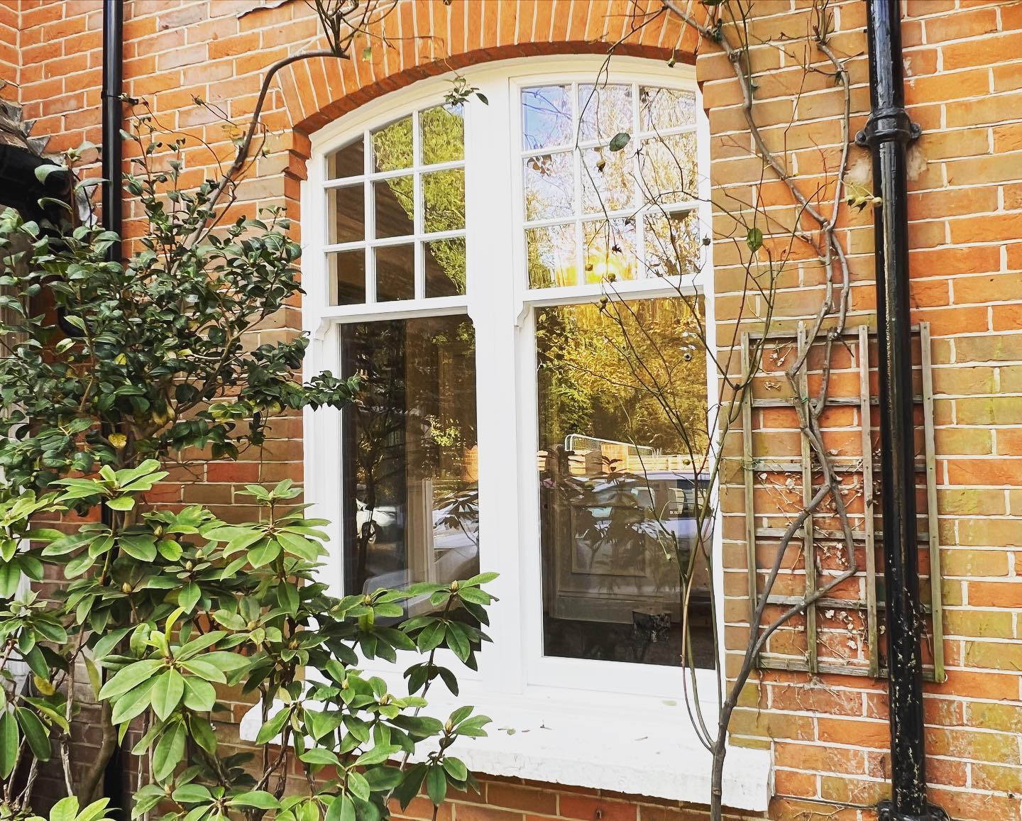 arch sash window replacement surrey