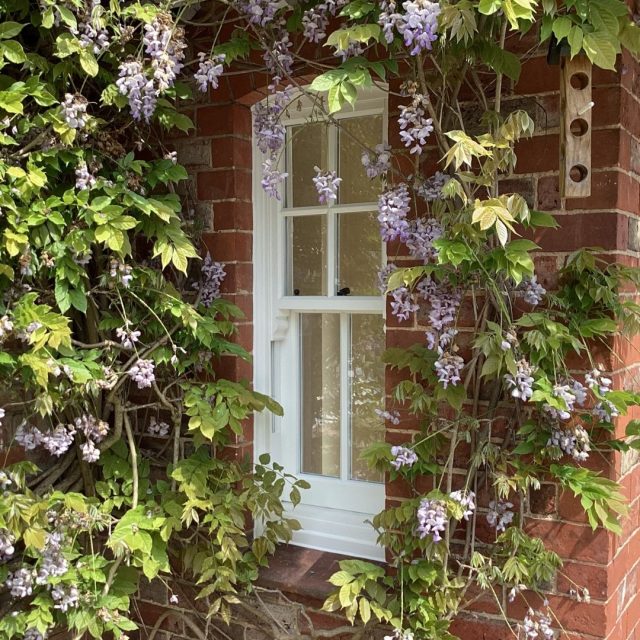 sash windows run through horns