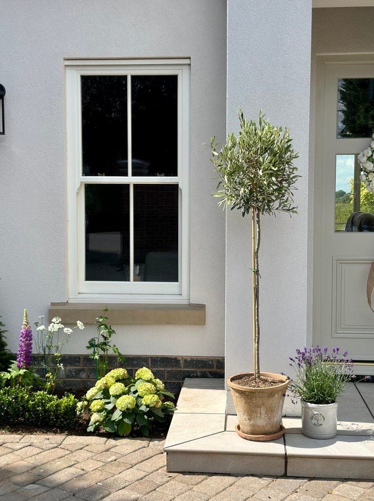 prevent mould around windows