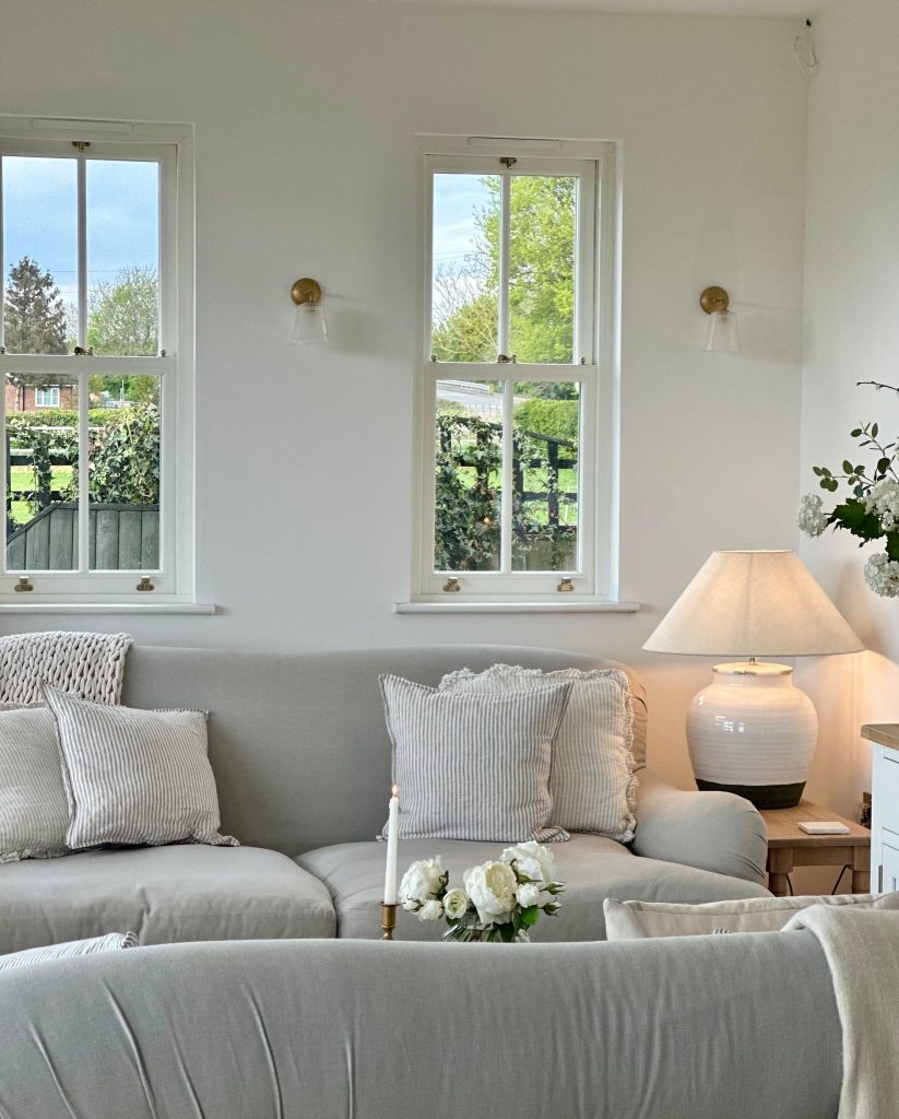 mould on windows